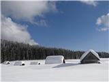 Planina Zajavornik V vrsti...