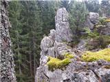Planina pod Golico - Brdo (Plezališče pod Golico)