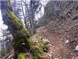 Podmežakla (Jesenice) - Planina Ravne