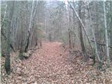Zgornje Izlake - Zabreznik (Sv. Miklavž)