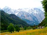 Logarska in bele  KSA