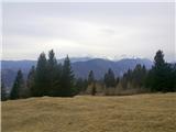 Koroška Bela - Potoška planina