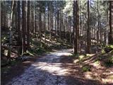 Podmežakla (Jesenice) - Planina Ravne