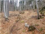 Koroška Bela - Potoška planina