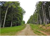 Spodnje Radvanje - Mariborska koča