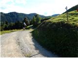 strm spust v dolino