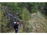 Murijeva planina below Mlinarjevo sedlo - Na Križu (Kokrska Kočna)