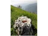 Mrzli vrh nad pl. Pretovč - pl. Lepoč ob poti