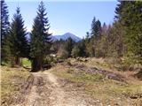 Podmežakla (Jesenice) - Planina Ravne