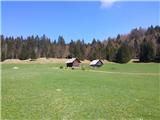 Podmežakla (Jesenice) - Planina Ravne