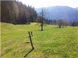 Podmežakla (Jesenice) - Planina Ravne