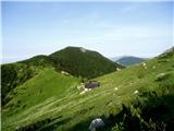 Tolminski Migovec -Tolminski Kuk - Zeleni vrh  -  Vrh nad Škrbino planina s poti na Migovec