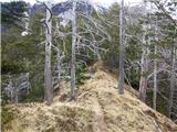 Koroška Bela (RC Kres) - Potoška planina