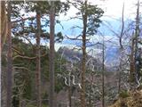 Koroška Bela (RC Kres) - Potoška planina