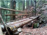 najdaljši most na slovenskih planinskih poteh, dužina 14.5  m