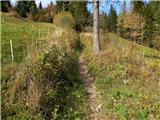 Planina pod Golico - Brdo (Plezališče pod Golico)