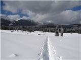 Planina Zajavornik Spust proti planini...