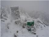 Suhi vrh, 1313 m