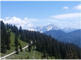 Pogled na Kamniško Savinjske Alpe s poti proti Zavetišču na planini Šija