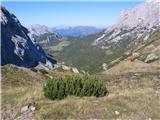 Veliki Koritnik - Creta di Aip - Trogkofel bivak z krasno dolino in še bolj krasno gorsko panoramo