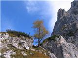 Sentiero Alpinistico Carlo Chersi utrinek s poti C. Chersi