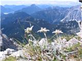 Crete di Gleris (Cima del Muini, tudi Cima Ninni, Cima mezzo in Cima Alta de Gleris) utrinek z Amariano v ozadju