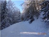 Cesta proti Ošvenu in N.Ledinam.