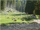 planina Spodnja Dolga njiva