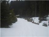 Planina Javornik Cesta proti planini Konjščici, do včeraj še nenačeta.