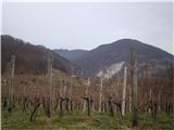 Sladka gora - Pečica - Boč in nazaj prijetna pot med vinogradi
