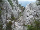 ožina