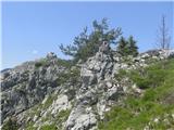 Vrh Strevčeve peči
