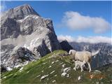 Pogled na Mala Mojstrovko s Šitne glave