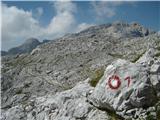 proti Doliču