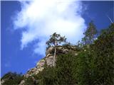 Prečenje grebena Veliki vrh ( 1539m ) do vrha Savinjek ( 1694m ) Med mojim raziskovanjem je že splezala na greben..