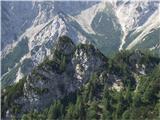 Prečenje grebena Veliki vrh ( 1539m ) do vrha Savinjek ( 1694m ) Za Turne nisva imela danes časa... pozneje pridejo na vrsto.....