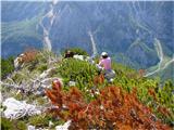 Prečenje grebena Veliki vrh ( 1539m ) do vrha Savinjek ( 1694m ) Vnašanje energije - dolina  Logarske je daleč spodaj in potrebno se je okrepiti