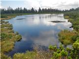 Ribniško jezero