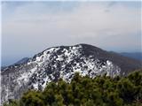 Pogled nazaj