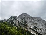 Pogled nazaj