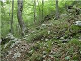 Kraljev hrib - Gradišče (Velika planina)