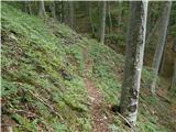 Kraljev hrib - Gradišče (Velika planina)