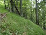 Kraljev hrib - Gradišče (Velika planina)