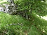 Kraljev hrib - Gradišče (Velika planina)