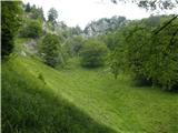 Kraljev hrib - Gradišče (Velika planina)