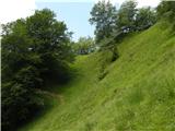 Kraljev hrib - Gradišče (Velika planina)