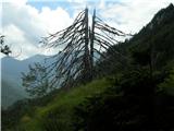 Kraljev hrib - Gradišče (Velika planina)