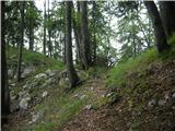 Kraljev hrib - Gradišče (Velika planina)