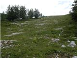 Kraljev hrib - Gradišče (Velika planina)