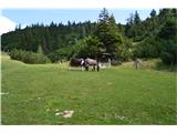 Planina Zgornja Dolga njiva celo s konji.Spodaj na planini Spodnja dolga njiva je velika planšarija.